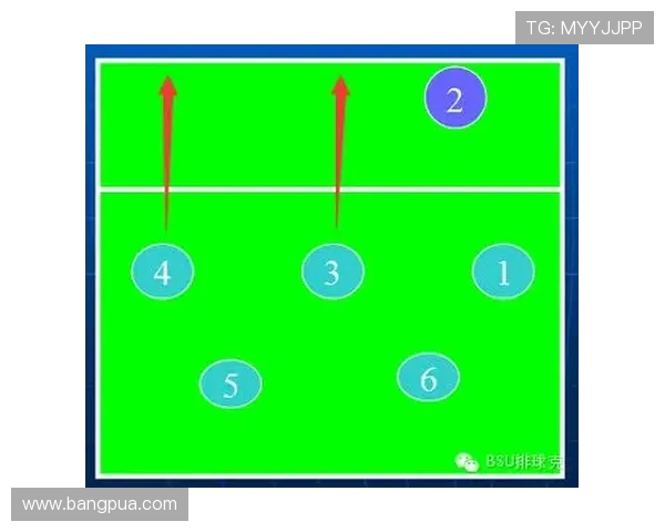 南京排球队战术对比深度解析与未来发展方向探讨